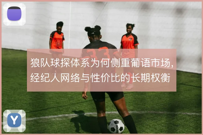 狼队球探体系为何侧重葡语市场，经纪人网络与性价比的长期权衡