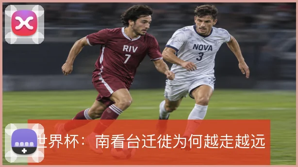 世界杯：南看台迁徙为何越走越远