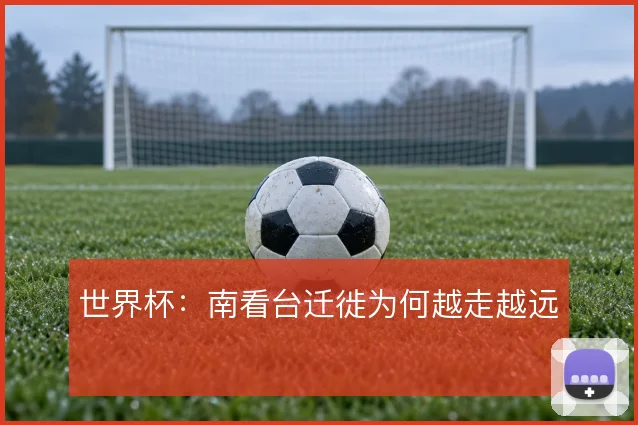 世界杯：南看台迁徙为何越走越远