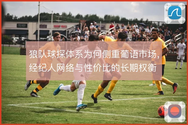 狼队球探体系为何侧重葡语市场，经纪人网络与性价比的长期权衡